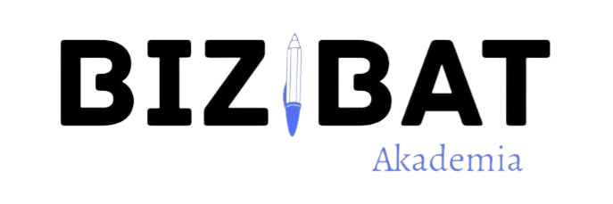 logo bizibat